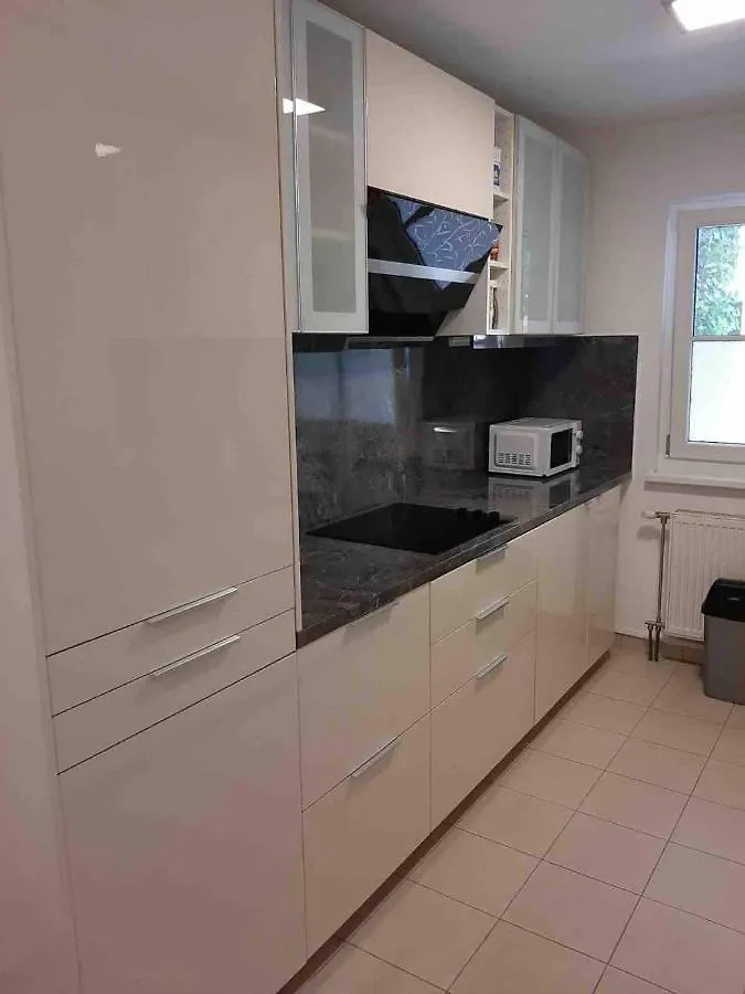 Modern Flat Incl Parking, Near Metro U1 Apartment Vienna